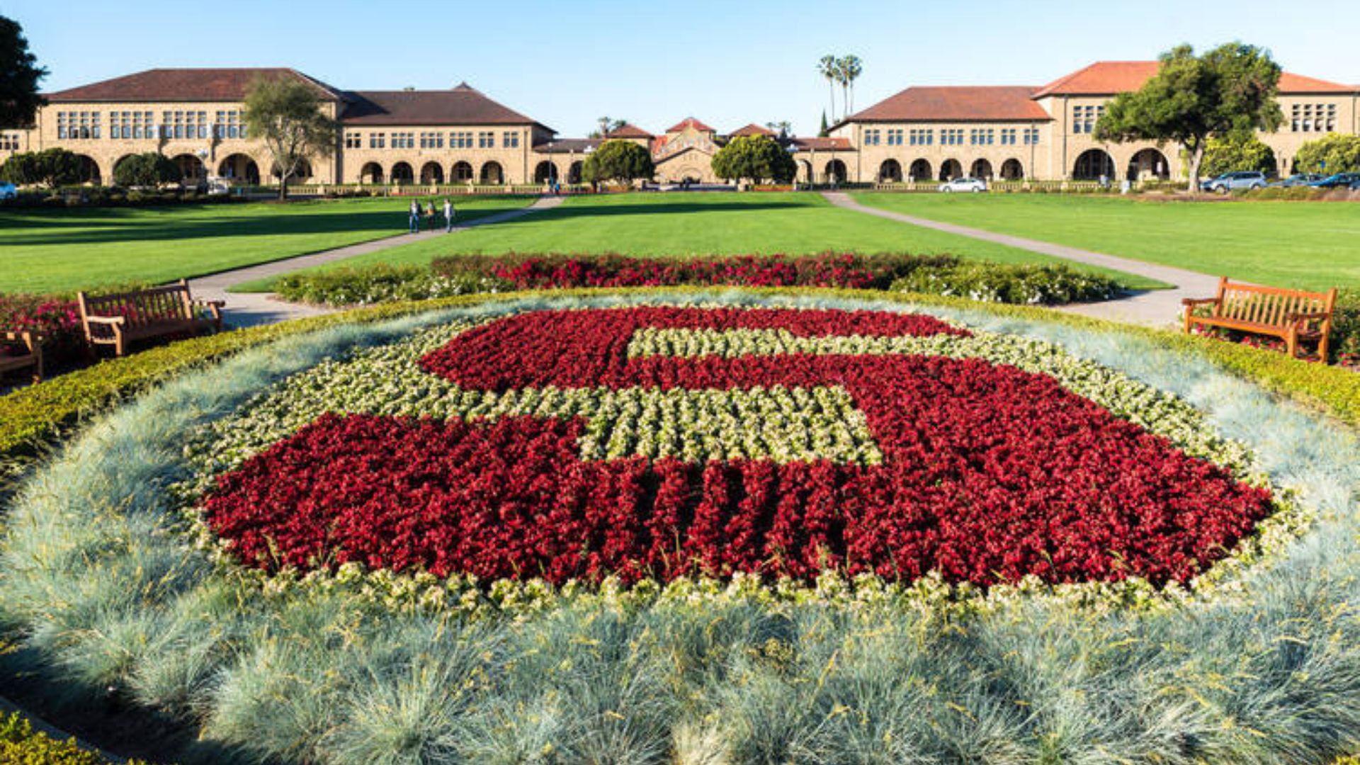 Stanford University’s Serra Mall